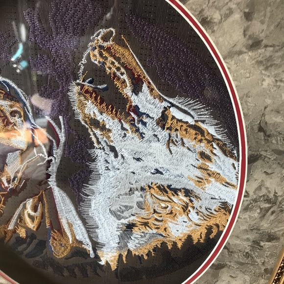 Native American Embroidered Framed Art Indian Woman And Wolf. Beautiful - Picture 6 of 11